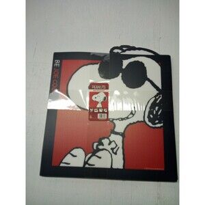 Peanuts Snoopy Character Placemats Set Of 4 Assorted Place mats 14.5"×14.5"